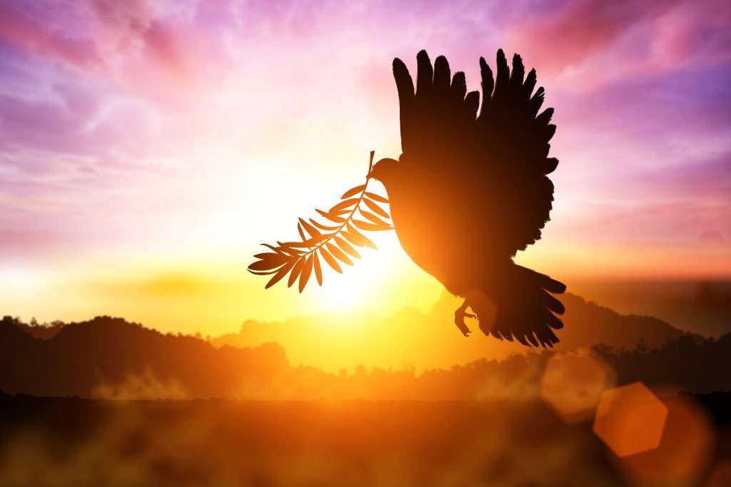 Toward a Theory of Peace Toward a Theory of Peace