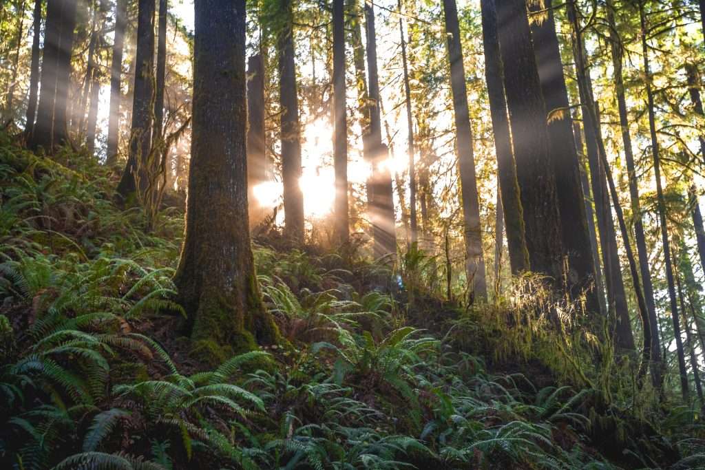 What the Greatest Environmental Challenges of Today All Have in Common