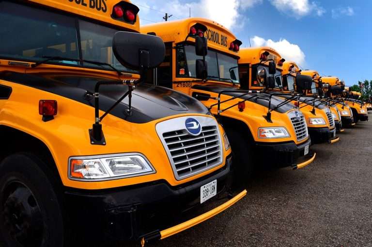 A row of parked school buses seen from the front.